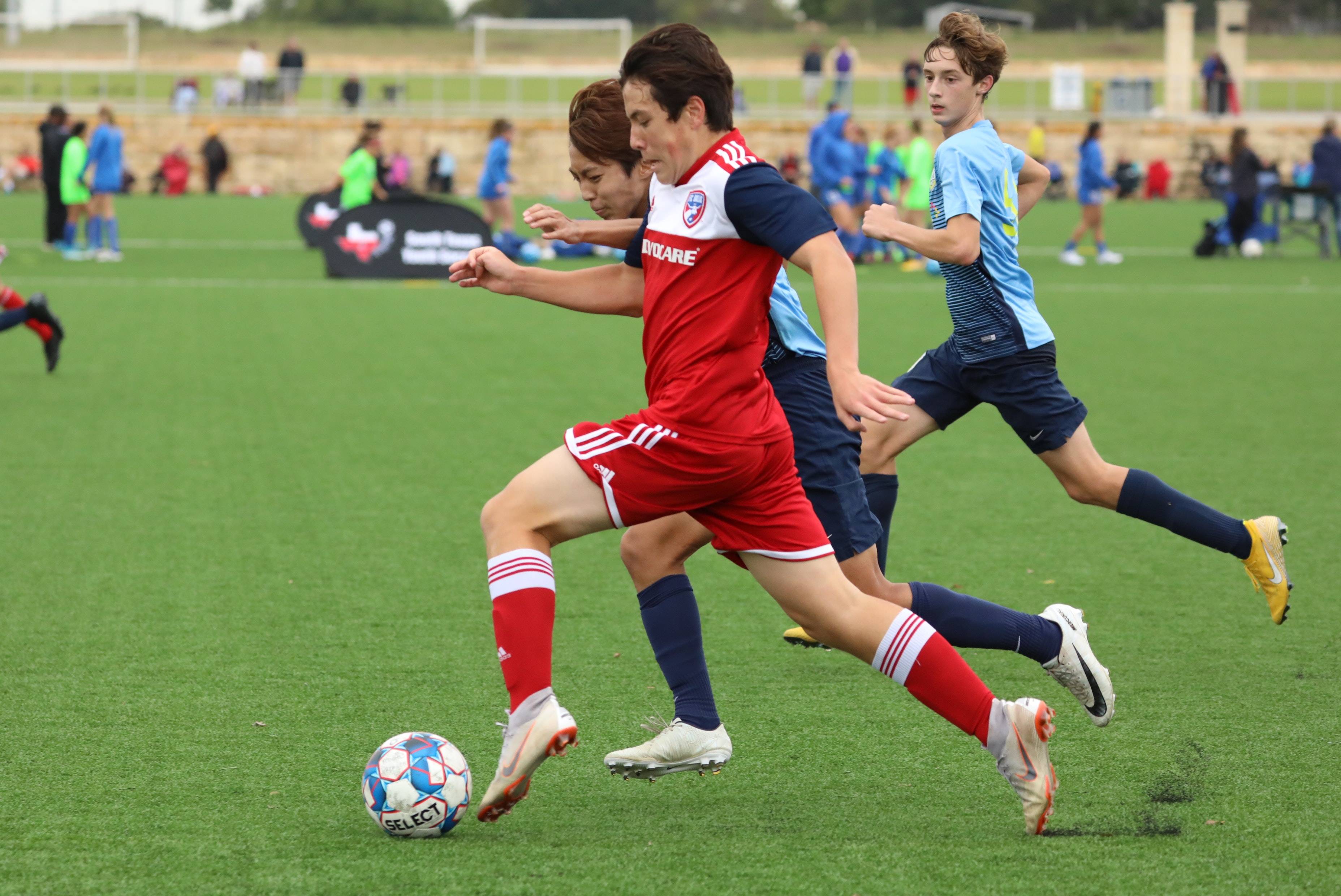 据一定优势 据一定优势