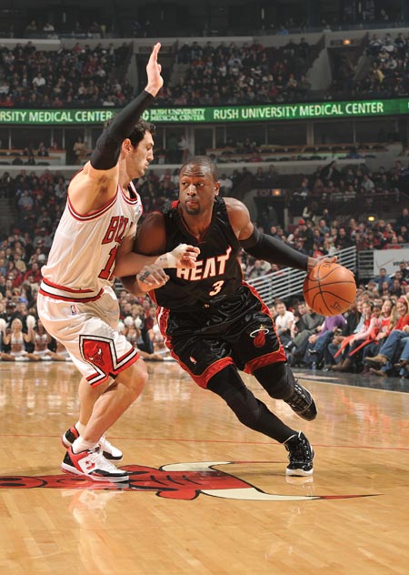 子树立了良 子树立了良